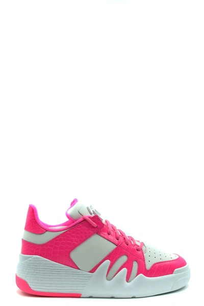 Shop Giuseppe Zanotti Sneakers In White/pink