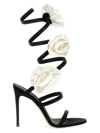 Shop Le Silla 'rose' Sandals In White/black