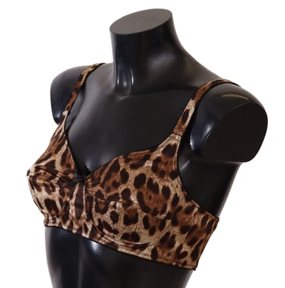 Shop Dolce & Gabbana Brown Leopard Women Bra Women's Underwear