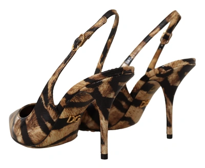 Shop Dolce & Gabbana Brown Slingbacks Leather Tiger Women's Shoes