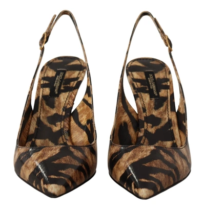 Shop Dolce & Gabbana Brown Slingbacks Leather Tiger Women's Shoes