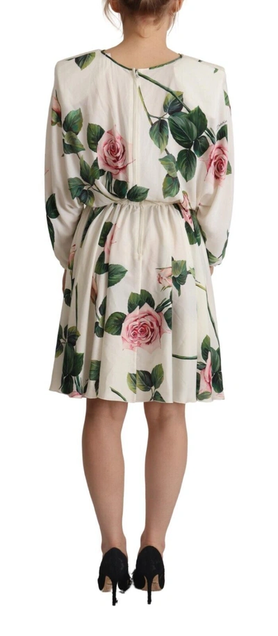 Shop Dolce & Gabbana White Rose Print Long Sleeves A-line Women's Dress