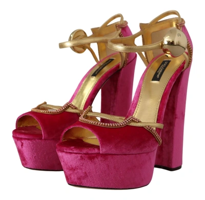 Shop Dolce & Gabbana Pink Velvet Crystal Ankle Strap Sandals Women's Shoes