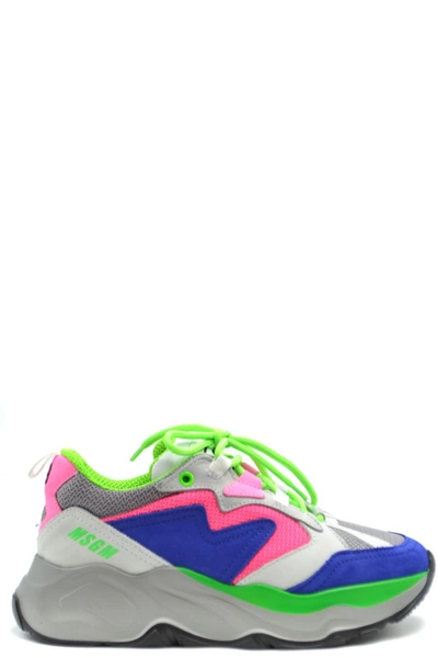 Shop Msgm Sneakers In Multicolor