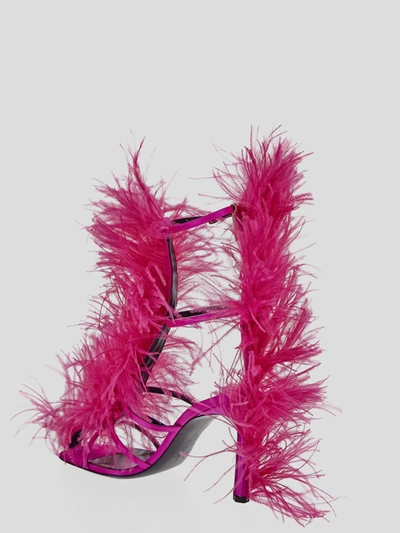 Shop Area X Sergio Rossi Dragon Fruit Feathers Sandals In Dragonfruit