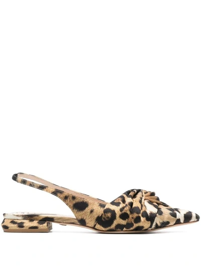 Shop Roberto Cavalli Leopard Slingback Ballerina With Knot In Brown