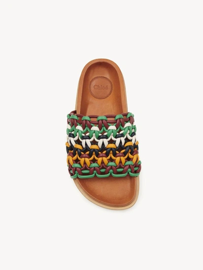 Shop Chloé Other In Multi Brown