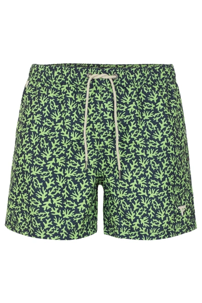 Shop Fred Mello Green Polyester Men's Swimwear