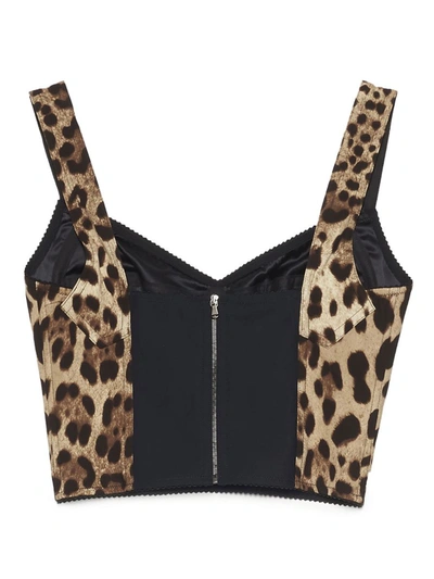 Shop Dolce & Gabbana Corset Top In Multicolor