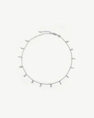 Shop Missoma Lucy Williams Mini Fang Choker Sterling Silver