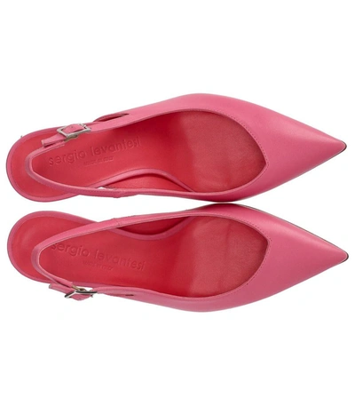 Shop Sergio Levantesi Joly Pink Slingback Pump