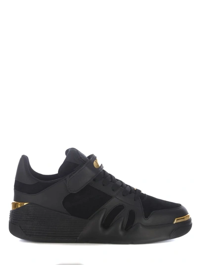 Shop Giuseppe Zanotti Sneakers In Black