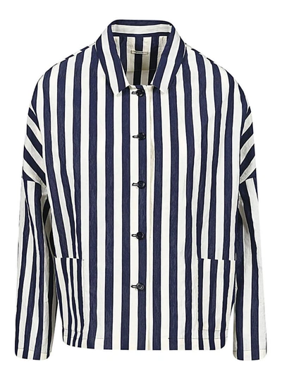 Shop Apuntob Cotton Striped Jacket In Blue