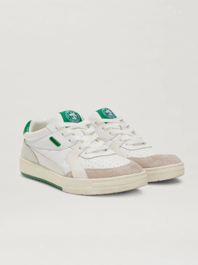 Shop Palm Angels Palm Univerity Sneakers In Green