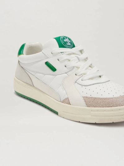 Shop Palm Angels Palm Univerity Sneakers In Green