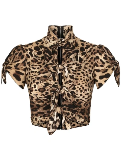 Shop Dolce & Gabbana Leopard-print Cropped Top In Brown