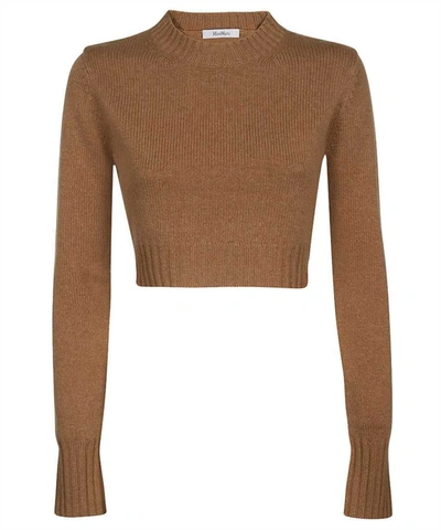 Shop Max Mara Eureka Cashmere Cropped Sweater In Brown