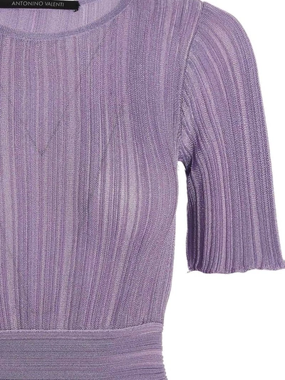 Antonino Valenti Gwendolin Dress In Purple