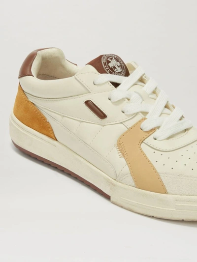 Shop Palm Angels Palm Univerity Sneakers In Beige