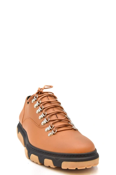 Shop Dior Sneaker In Light Brown