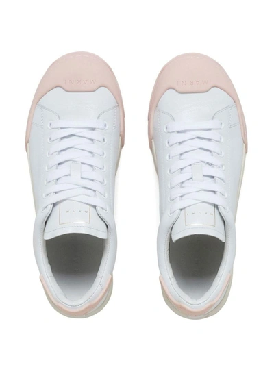 Shop Marni Sneakers Shoes In White