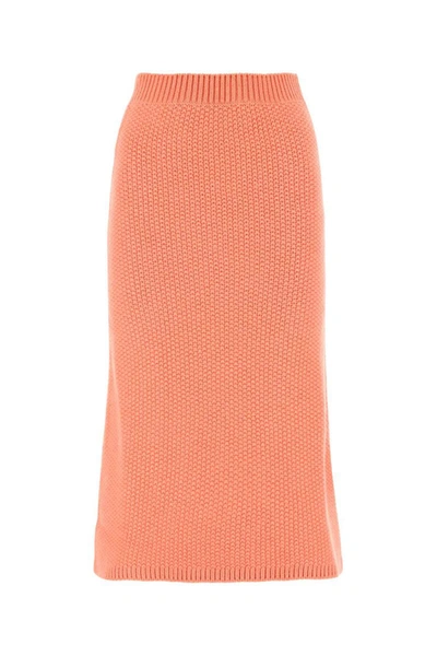 Chloé Flared Maxi Skirt In Pink