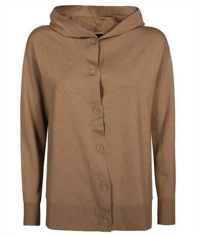 Shop Max Mara Rienza Knitted Hoodie In Camel