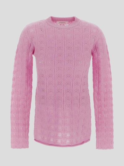 Shop Sportmax Sweater In <p> Sweater In Pink Wool With Embroidered Fabric