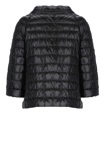 Shop Herno Coats Black