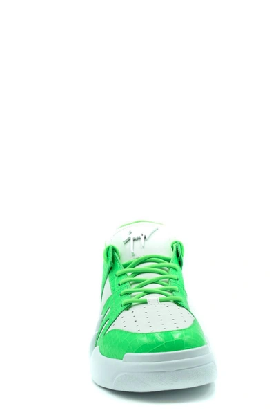 Shop Giuseppe Zanotti Sneakers In White/green