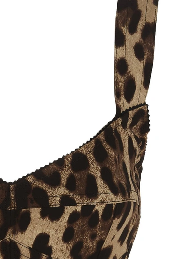 Shop Dolce & Gabbana Leopard Bustier Top In Brown