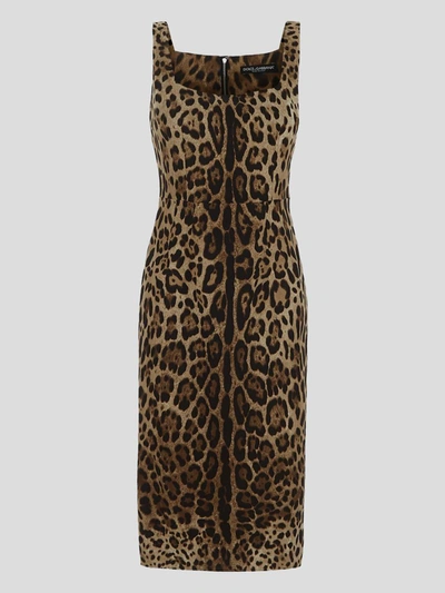 Shop Dolce & Gabbana Leopard Print Charmeuse Midi Dress In Leonew
