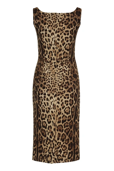 Shop Dolce & Gabbana Printed Silk Dress In Animalier