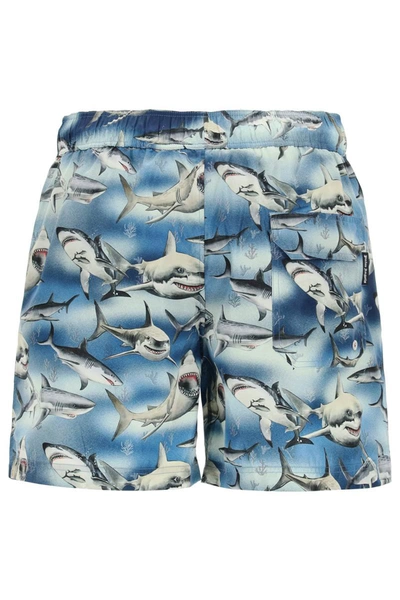 Palm Angels Man Printed Polyester Sharks Swimming Shorts In Multicolor