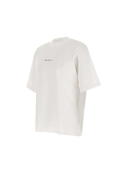 Shop Marni Organic Cotton T-shirt In White