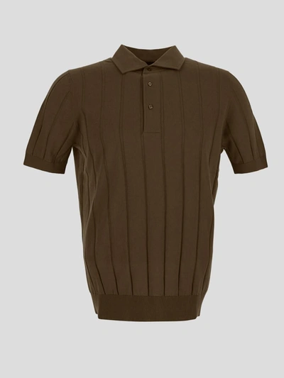 Shop Lardini Polo In <p> Brown Polo With Short Sleeves