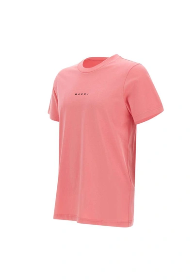 Shop Marni Organic Cotton T-shirt In Pink