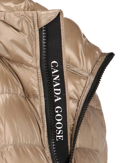Shop Canada Goose Jackets In Brown
