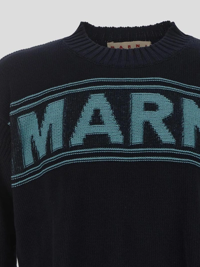 Shop Marni Sweaters In <p> Crew Neck Knitwear In Eclipse Blue Cotton With Light Blue Logo