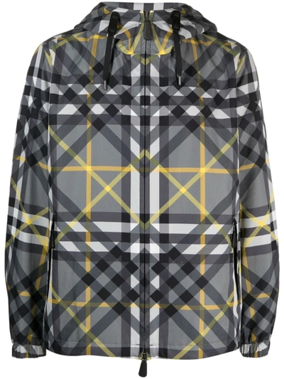 Shop Burberry Stanford Double Check Cotton Jacket In Grey