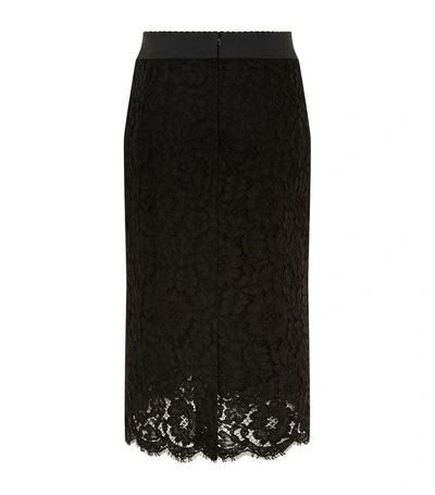 Shop Dolce & Gabbana Lace Pencil Skirt
