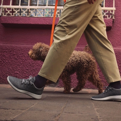 Shop Allbirds Men's Merino Wool Sneakers In Calm Taupe