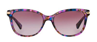 Shop Coach 0hc8132 52888h Cat Eye Sunglasses In Violet