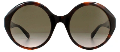 Shop Gucci Gg0797s 002 Round Sunglasses In Brown