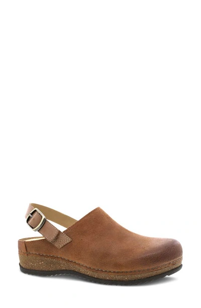 Shop Dansko Merrin Slingback Clog In Tan Burnished Suede