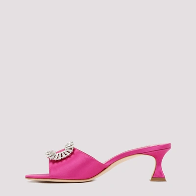 Shop Manolo Blahnik Laalita Pumps Shoes In Pink &amp; Purple