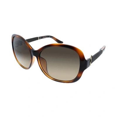 Shop Ferragamo Salvatore  Sf 744sla 214 59mm Womens Butterfly Sunglasses In Brown