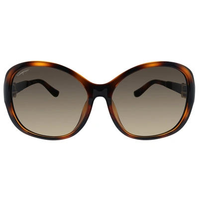 Shop Ferragamo Salvatore  Sf 744sla 214 59mm Womens Butterfly Sunglasses In Brown