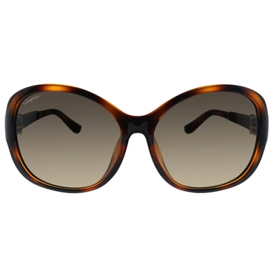 Ferragamo Salvatore   Sf 744sla 214 59mm Womens Butterfly Sunglasses In Brown