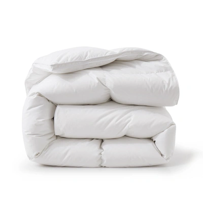 Shop Puredown Made In Germany 800 Fill Power 90% Down Fill European White Goose Down Comforter - Extra Warm